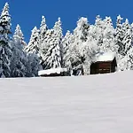 Panorama Daire