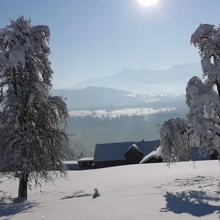 Panorama *
