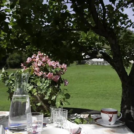 Apartment Panorama Doren